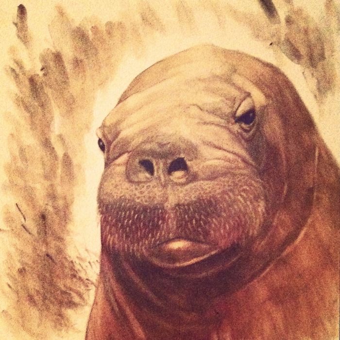 Illustrating With Gouache