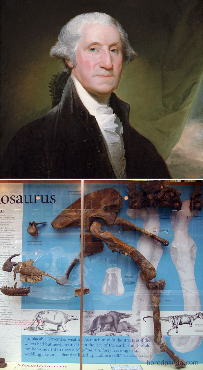 Portrait of George Washington and a Megalosaurus dinosaur fossil display illustrating historical facts that mess with perception of time.