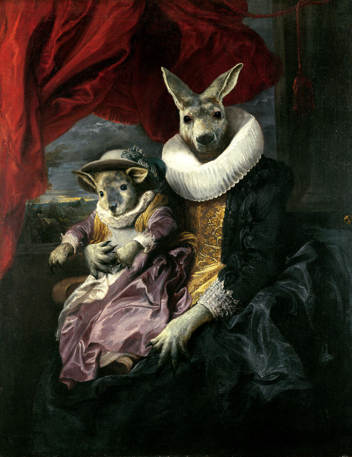 Duchess Kangaroo