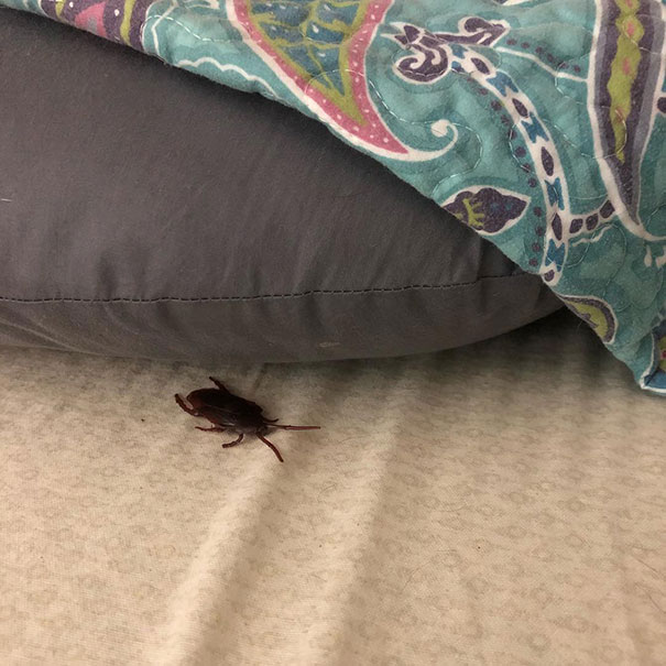 The Kid’s Pranking Level Just Increased. Well Played, Child, Well Played