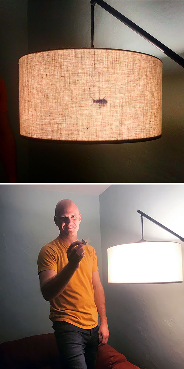 The Carefully Planned Prank Of My 12-Year-Old Who Is Really Liking The Little Bit Of Time She Gets At Home Before Daddy Gets Home. Maybe She’s Enjoying It Too Much