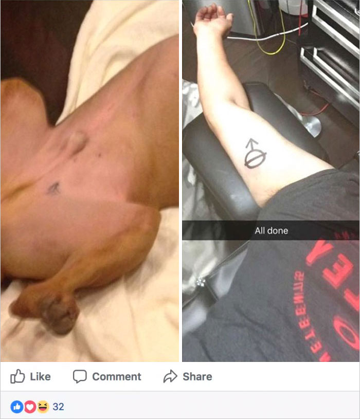 Man and rescue dog with matching neutered tattoo marks on skin and arm. Man and rescue dog with matching neutered tattoo marks on skin and arm.