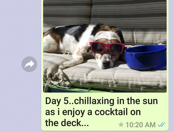 Mother Sends Her Son Pictures Of His Dog Everyday And The Reason Will Melt Your Heart Mother Sends Her Son Pictures Of His Dog Everyday And The Reason Will Melt Your Heart