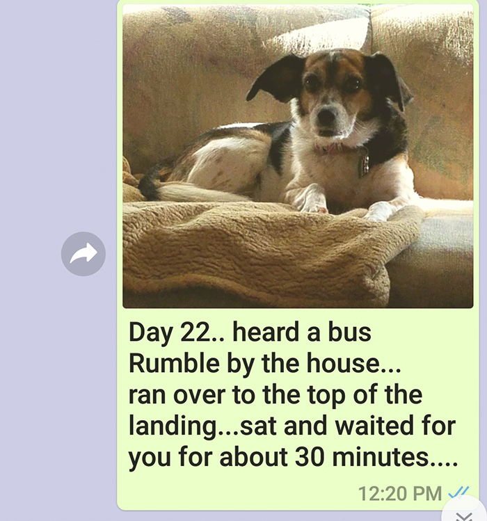 Mother Sends Her Son Pictures Of His Dog Everyday And The Reason Will Melt Your Heart Mother Sends Her Son Pictures Of His Dog Everyday And The Reason Will Melt Your Heart