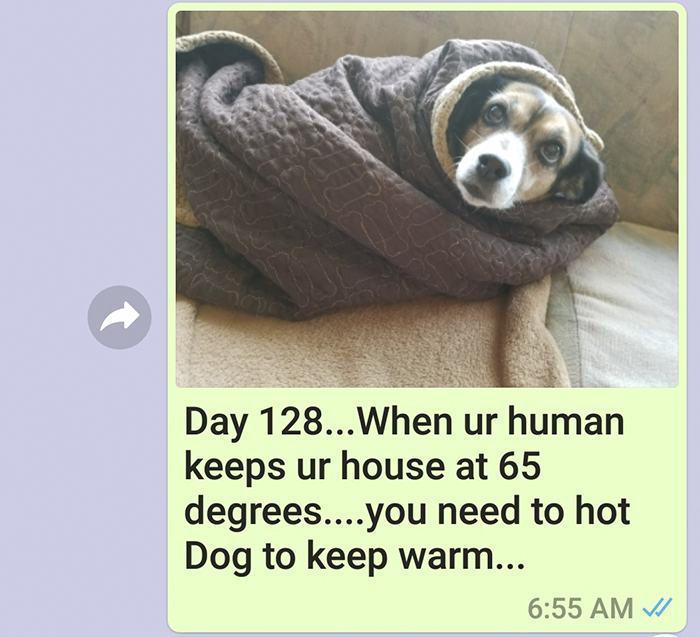 Mother Sends Her Son Pictures Of His Dog Everyday And The Reason Will Melt Your Heart