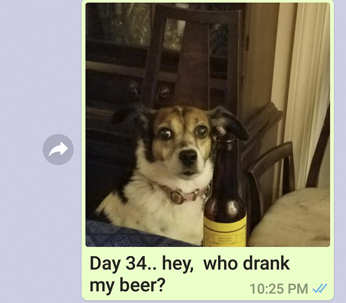 Mother Sends Her Son Pictures Of His Dog Everyday And The Reason Will Melt Your Heart