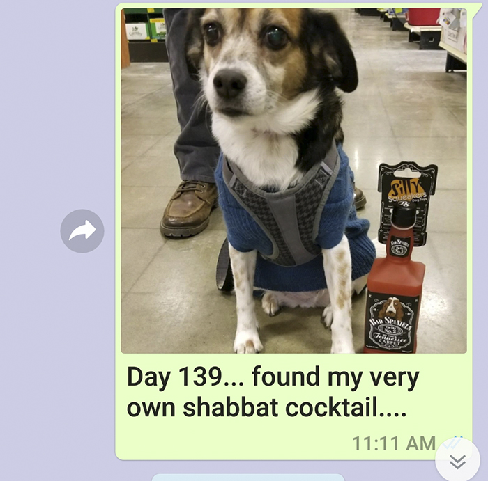 Mother Sends Her Son Pictures Of His Dog Everyday And The Reason Will Melt Your Heart Mother Sends Her Son Pictures Of His Dog Everyday And The Reason Will Melt Your Heart