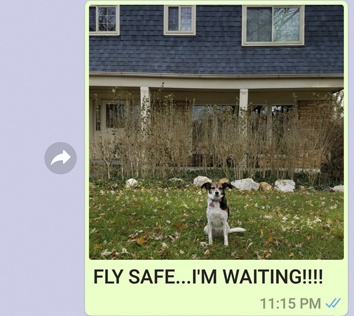 Mother Sends Her Son Pictures Of His Dog Everyday And The Reason Will Melt Your Heart