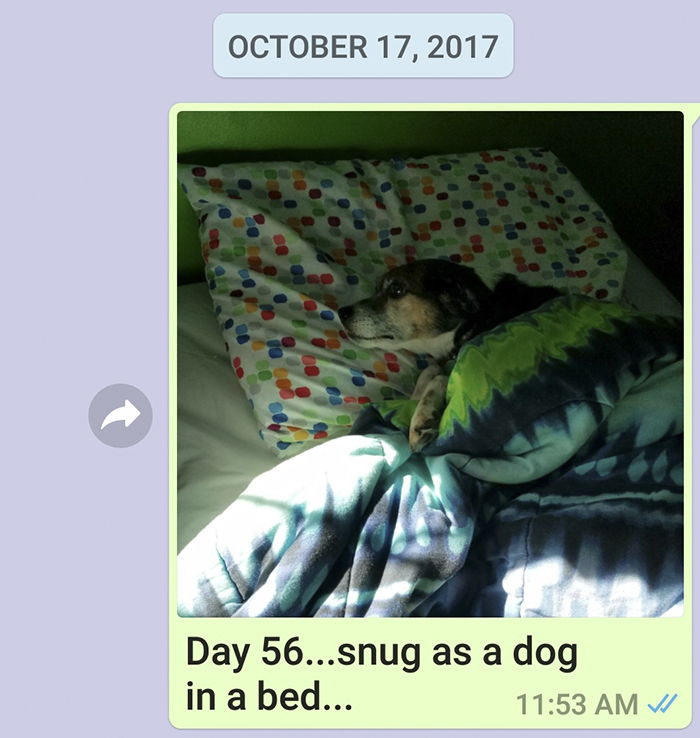 Mother Sends Her Son Pictures Of His Dog Everyday And The Reason Will Melt Your Heart