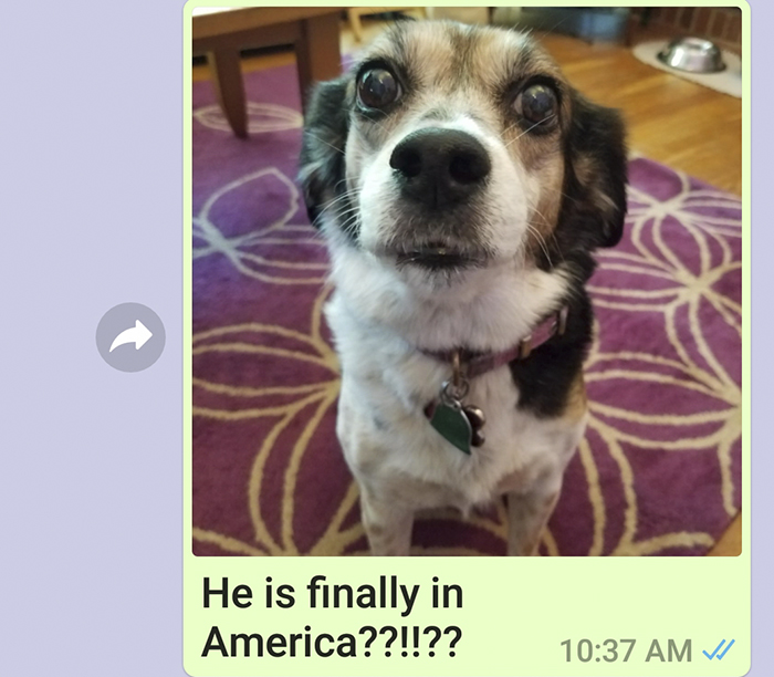 Mother Sends Her Son Pictures Of His Dog Everyday And The Reason Will Melt Your Heart Mother Sends Her Son Pictures Of His Dog Everyday And The Reason Will Melt Your Heart