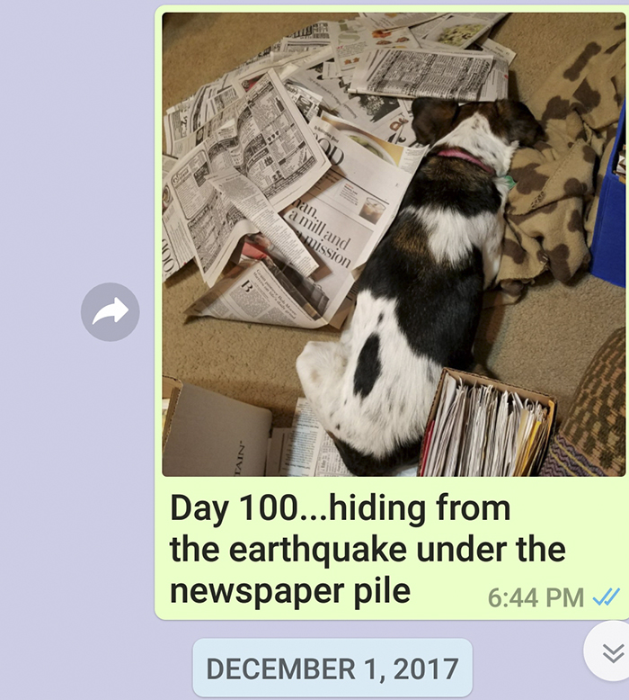 Mother Sends Her Son Pictures Of His Dog Everyday And The Reason Will Melt Your Heart