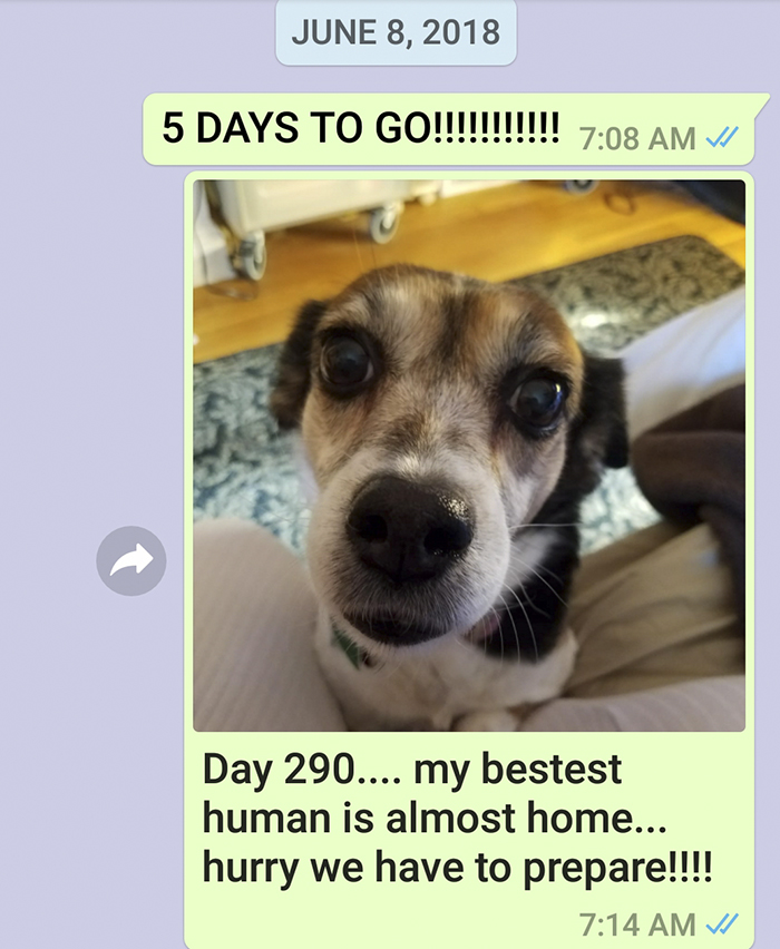 Mother Sends Her Son Pictures Of His Dog Everyday And The Reason Will Melt Your Heart Mother Sends Her Son Pictures Of His Dog Everyday And The Reason Will Melt Your Heart