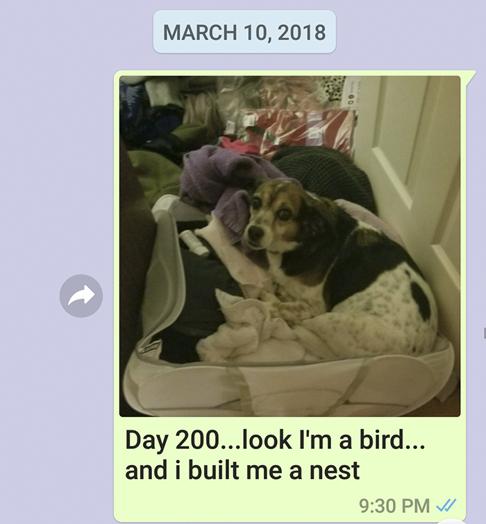 Mother Sends Her Son Pictures Of His Dog Everyday And The Reason Will Melt Your Heart