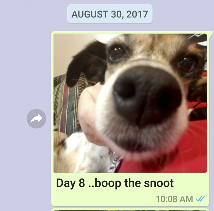 Mother Sends Her Son Pictures Of His Dog Everyday And The Reason Will Melt Your Heart