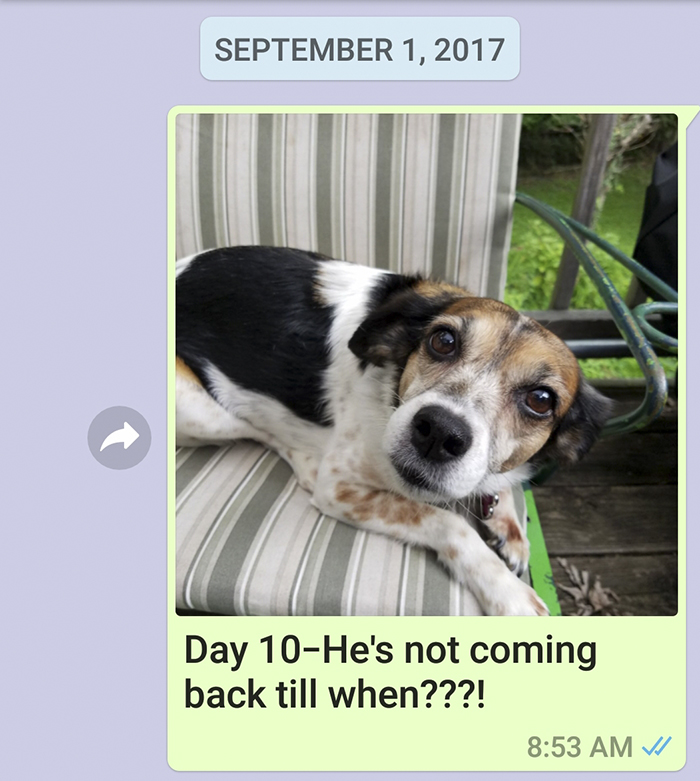 Mother Sends Her Son Pictures Of His Dog Everyday And The Reason Will Melt Your Heart