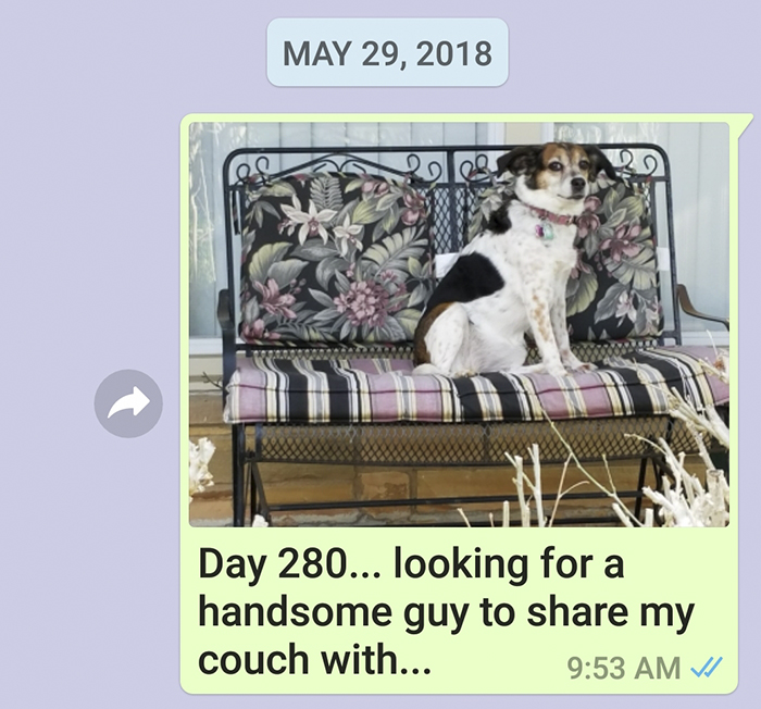 Mother Sends Her Son Pictures Of His Dog Everyday And The Reason Will Melt Your Heart