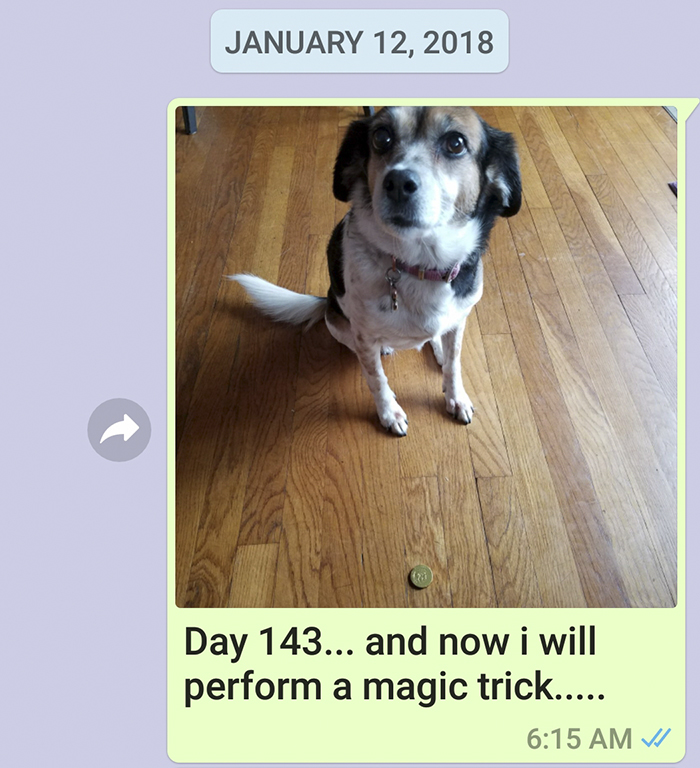 Mother Sends Her Son Pictures Of His Dog Everyday And The Reason Will Melt Your Heart Mother Sends Her Son Pictures Of His Dog Everyday And The Reason Will Melt Your Heart