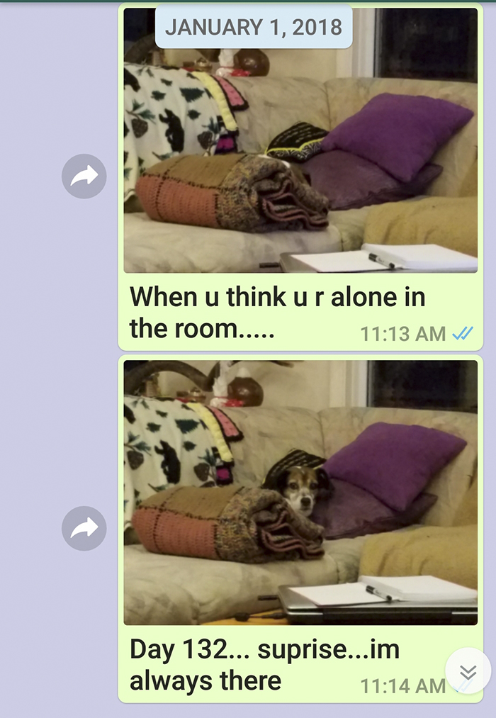 Mother Sends Her Son Pictures Of His Dog Everyday And The Reason Will Melt Your Heart Mother Sends Her Son Pictures Of His Dog Everyday And The Reason Will Melt Your Heart