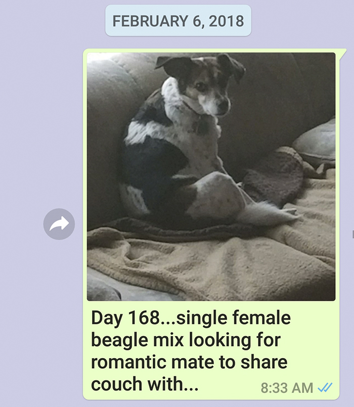 Mother Sends Her Son Pictures Of His Dog Everyday And The Reason Will Melt Your Heart Mother Sends Her Son Pictures Of His Dog Everyday And The Reason Will Melt Your Heart