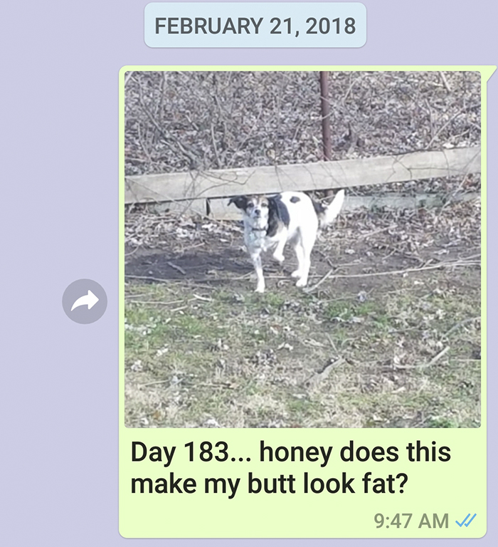 Mother Sends Her Son Pictures Of His Dog Everyday And The Reason Will Melt Your Heart Mother Sends Her Son Pictures Of His Dog Everyday And The Reason Will Melt Your Heart