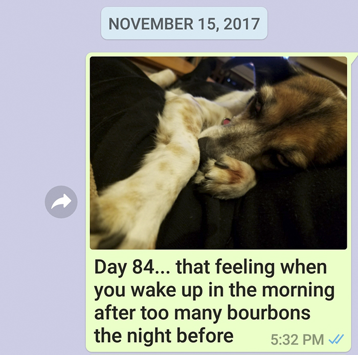 Mother Sends Her Son Pictures Of His Dog Everyday And The Reason Will Melt Your Heart Mother Sends Her Son Pictures Of His Dog Everyday And The Reason Will Melt Your Heart