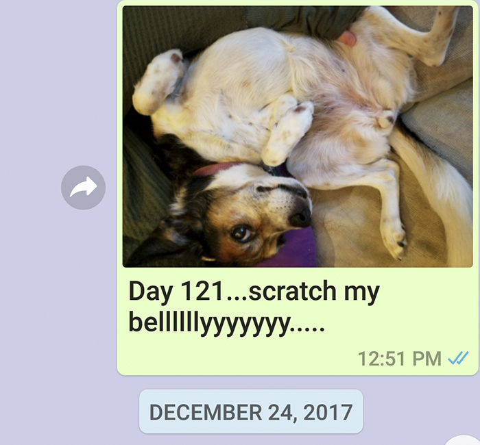 Mother Sends Her Son Pictures Of His Dog Everyday And The Reason Will Melt Your Heart Mother Sends Her Son Pictures Of His Dog Everyday And The Reason Will Melt Your Heart