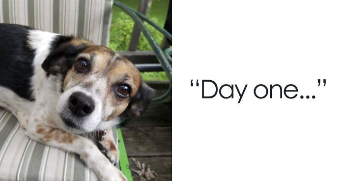 Mother Sends Her Son Pictures Of His Dog Everyday And The Reason Will Melt Your Heart