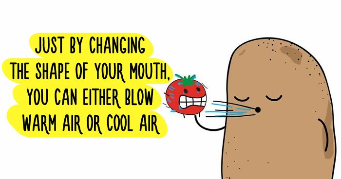 72 Bitter Truths By Truth Potato That Will Make You Think (New Pics)