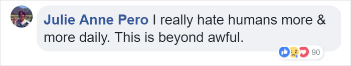 Lone Orangutan Fights Back In A Heartbreaking Video As Loggers Destroy His Home Lone Orangutan Fights Back In A Heartbreaking Video As Loggers Destroy His Home