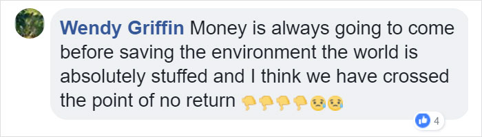 Lone Orangutan Fights Back In A Heartbreaking Video As Loggers Destroy His Home Lone Orangutan Fights Back In A Heartbreaking Video As Loggers Destroy His Home