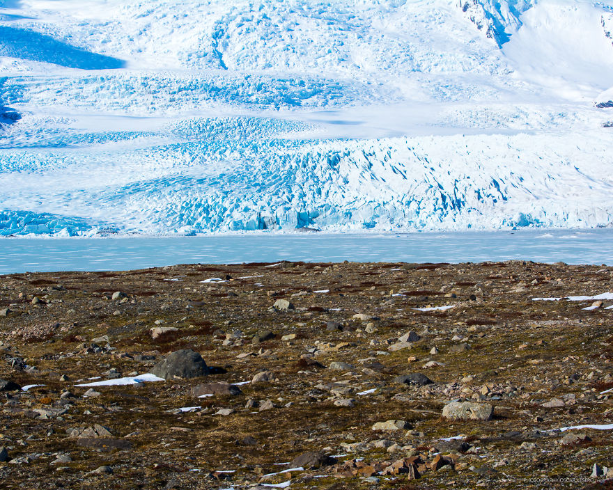 I Went To Iceland Alone And Here Is What I Photographed I Went To Iceland Alone And Here Is What I Photographed