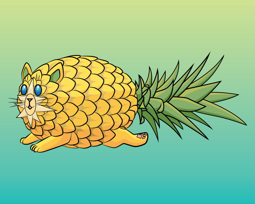 Pineapple Cat