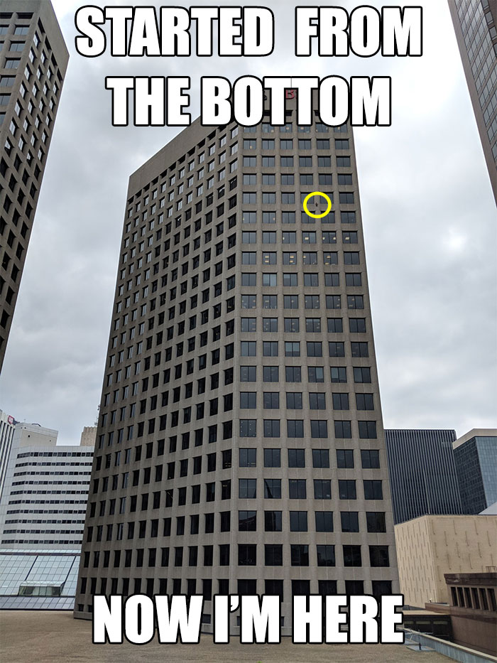 raccoon-skyscraper-mprraccoon-st-paul-minnesota-11