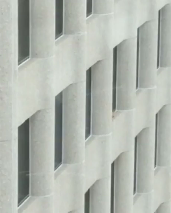 Internet Holds Its Breath As Raccoon Climbs A Skyscraper, And It Gets Scarier And Scarier With Every Pic