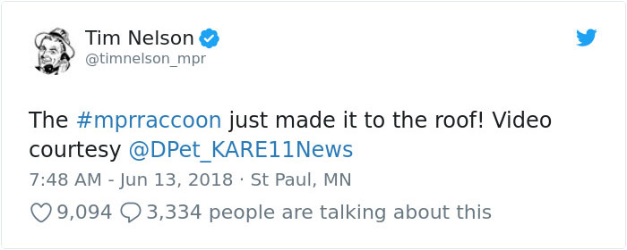 Internet Holds Its Breath As Raccoon Climbs A Skyscraper, And It Gets Scarier And Scarier With Every Pic Internet Holds Its Breath As Raccoon Climbs A Skyscraper, And It Gets Scarier And Scarier With Every Pic