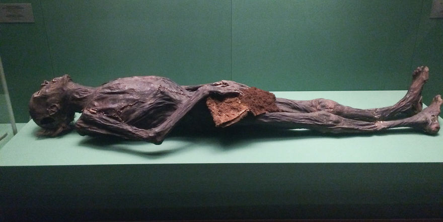 72 Hours In The Most Surprisingly Awesome City In Europe, Saint Petersburg 72 Hours In The Most Surprisingly Awesome City In Europe, Saint Petersburg