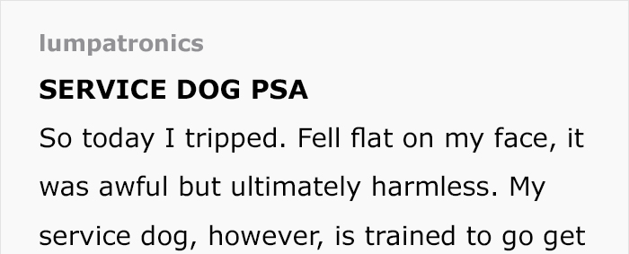 service-dog-psa-lumpatronic-1