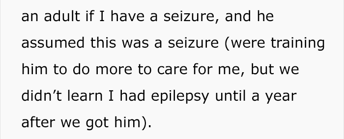 service-dog-psa-lumpatronic-2