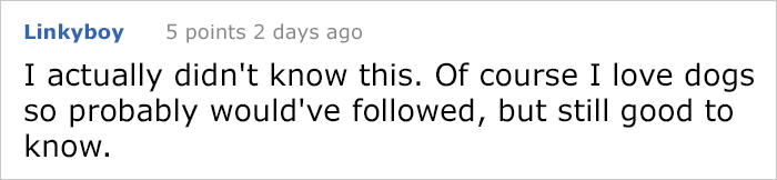 service-dog-psa-lumpatronic-20