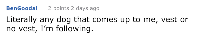 service-dog-psa-lumpatronic-22