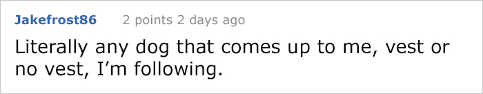 service-dog-psa-lumpatronic-23