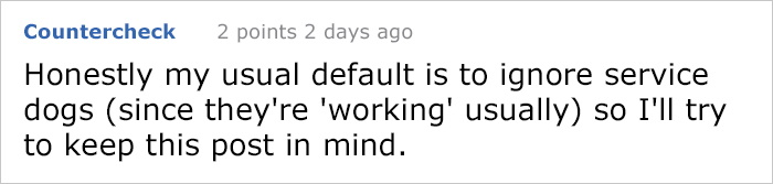 service-dog-psa-lumpatronic-24