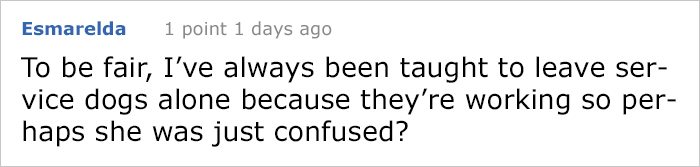 service-dog-psa-lumpatronic-26