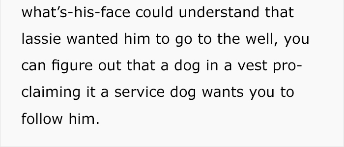 service-dog-psa-lumpatronic-8