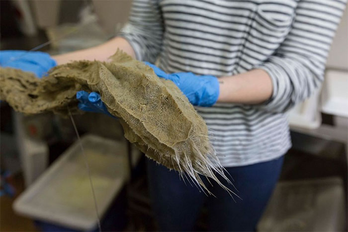 Researcher wearing blue gloves holds a rare deep ocean creature found 16,000 ft below sea level during scientific exploration.