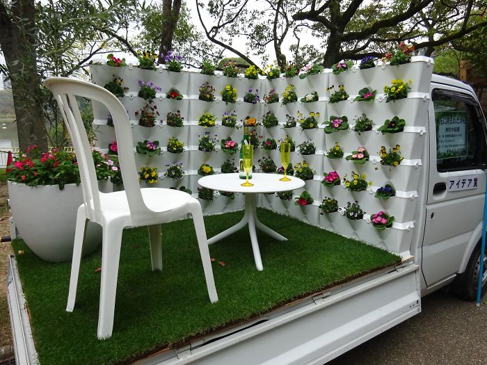 Minimal Garden Surrounded By Flowers