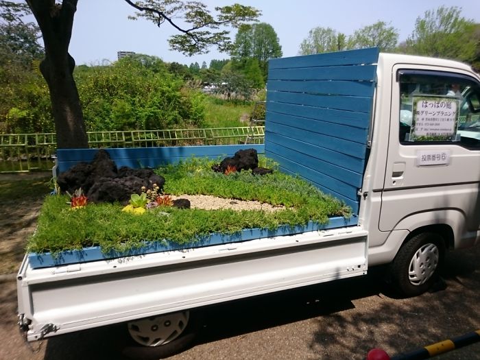 Succulentus Pebble Paths