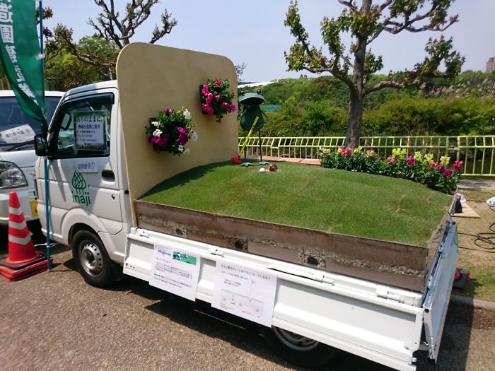 Minimal Lawn With Frog Statue