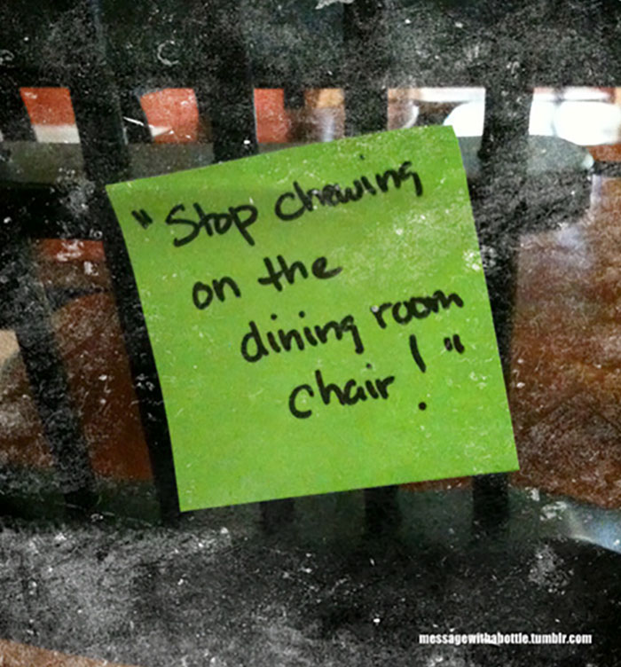 Funny-Notes-Stay-At-Home-Dad-Message-With-A-Bottle