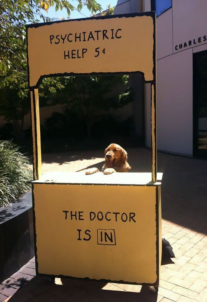 Dogtor